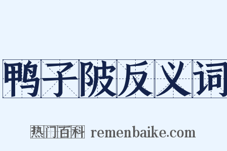 鸭子陂反义词是什么意思的图片